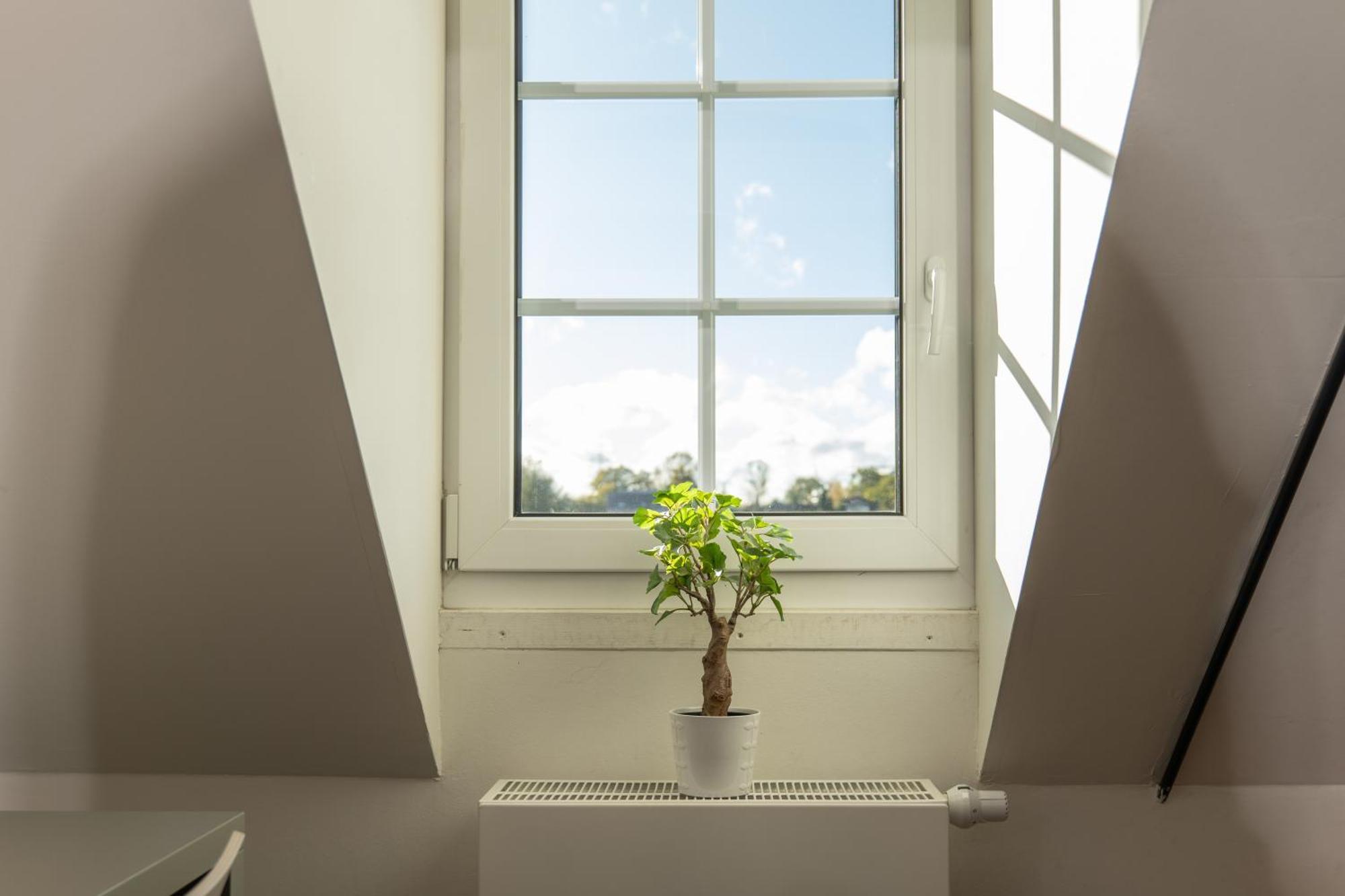 Haus Overbach Jülich Eksteriør billede